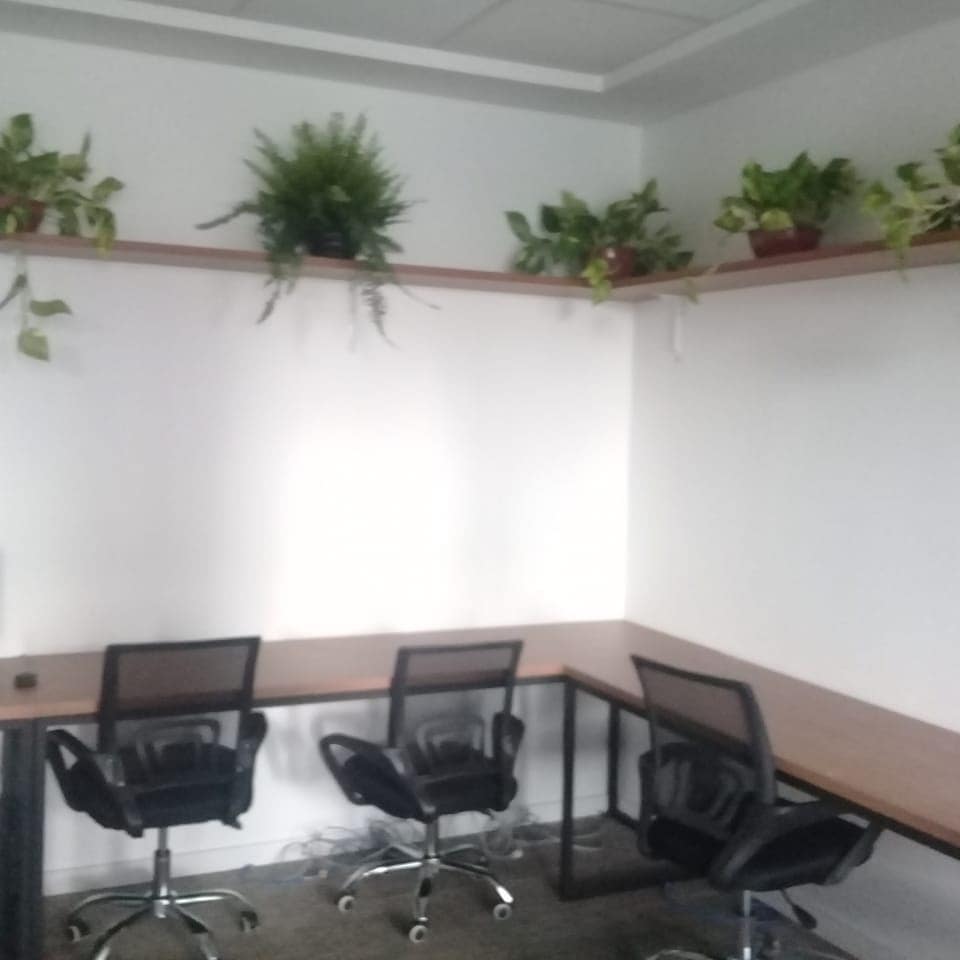 164908731_461203295187647_2863486532258184666_n