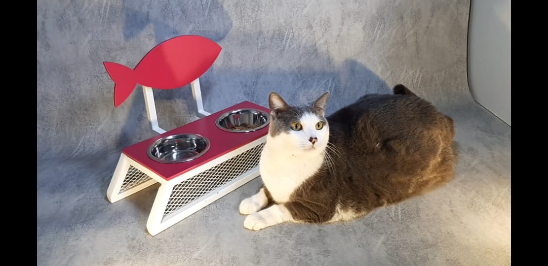 PHOTO-2021-07-11-13-52-18